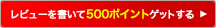 ���r���[��������500�|�C���g�Q�b�g����