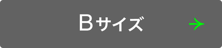 A[`FA }X^[h Ot@Cgx[XBBLX^[ BTCY