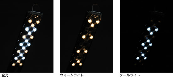 光りのバリエーション